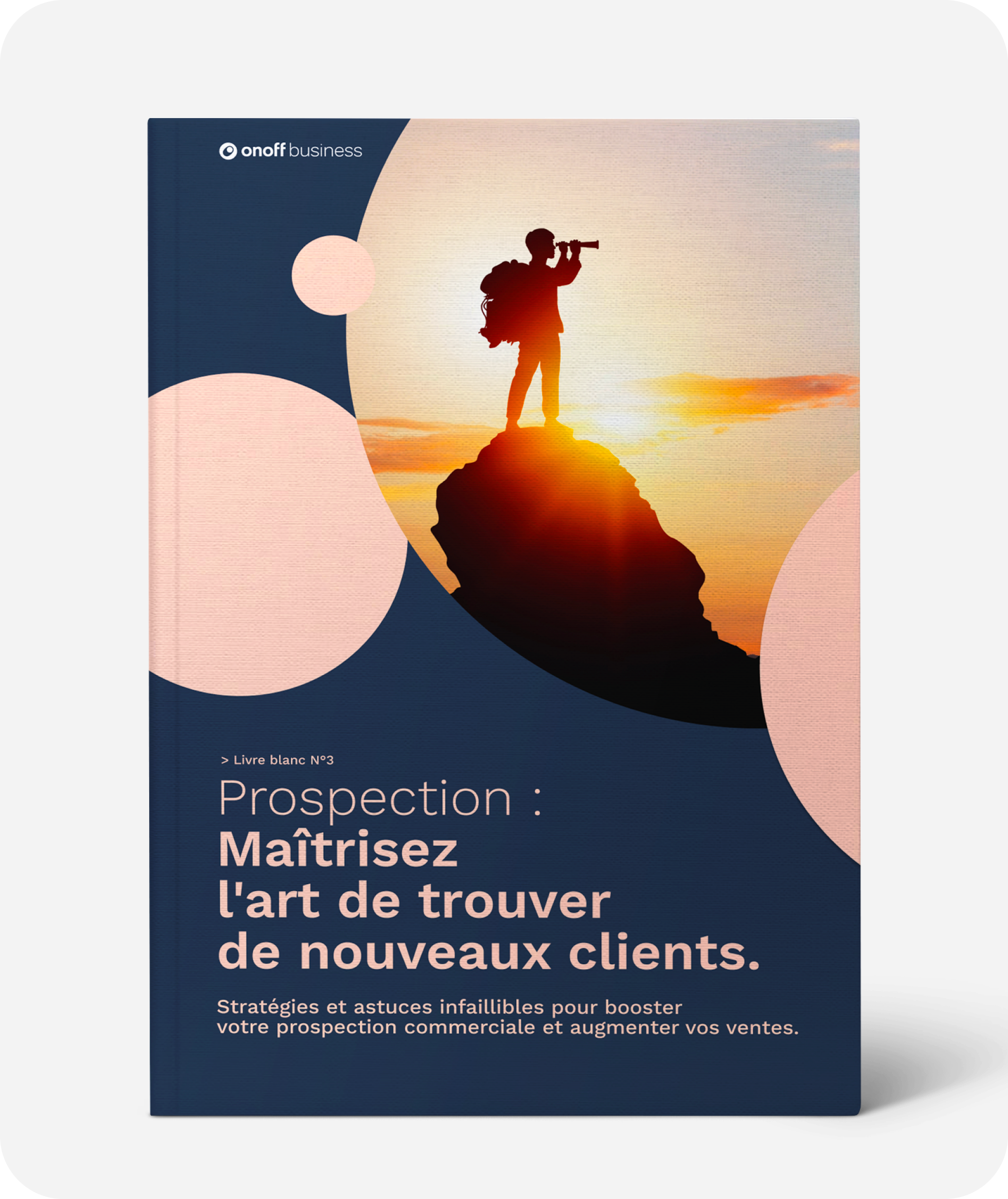 livres-blancs-Commercial-Vente-Prospection-Onoff-Business